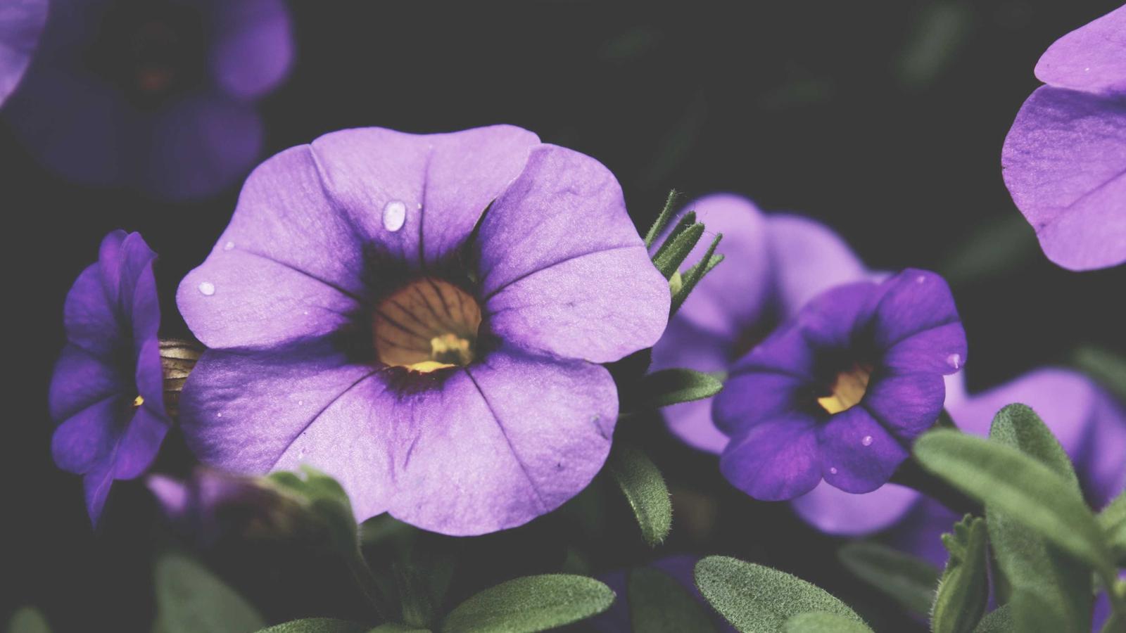 Roadtrip Planner App: The Best Tools for Smarter Routes in 2026