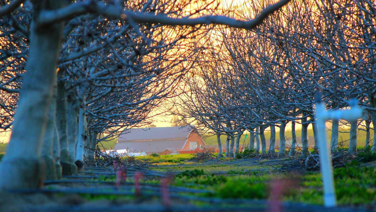 Taipei Itinerary 3 Days: The Perfect City Break for First-Time Visitors (2026)