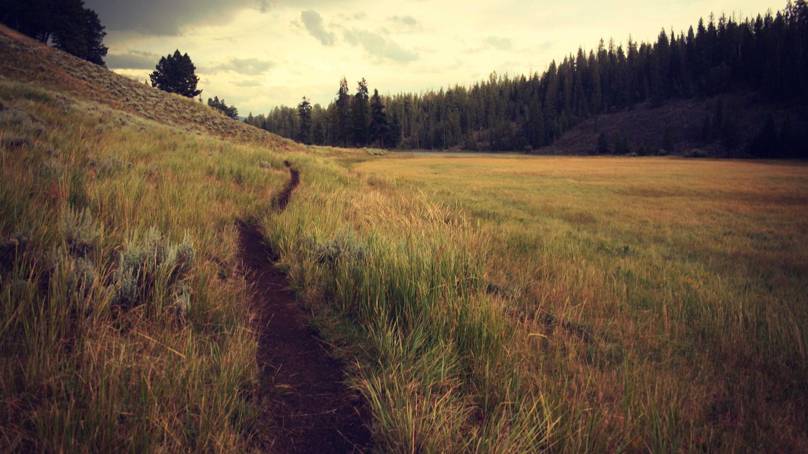 Best Wonderplan Alternative in 2026: Why Travelers Are Switching to Travo